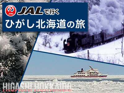 JALで行くおすすめ国内旅行特集｜北海道流氷ツアー