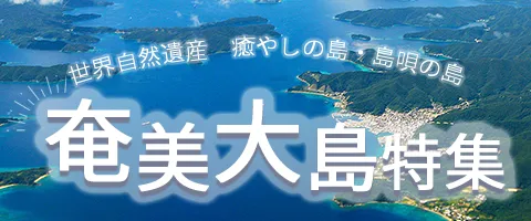 JALで行くおすすめ国内旅行特集｜奄美大島特集