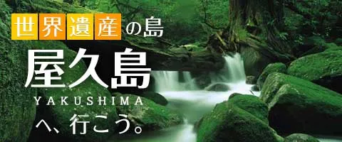 JALで行くおすすめ国内旅行特集｜屋久島ツアー特集