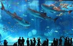 沖縄で訪れたい絶景スポットはどこ？