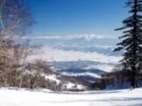 憧れのパウダースノー！北海道のスキー場