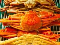 これがみんなが支持する北海道定番のお土産