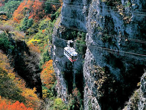 四国旅行！ずばり行くとしたらどの季節？