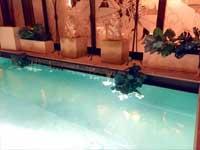 一度は訪れてみたい！憧れの高級リゾートホテルの世界