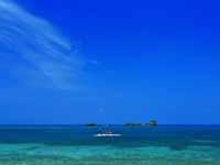 青い海！沖縄でやりたいアクティビティとは？