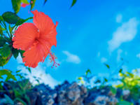 沖縄観光旅行！あなたならどのドラマのロケ地へ行く？