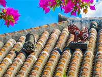 沖縄本島？それとも離島？夏の沖縄の魅力は