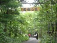 北海道観光！ゆっくりロケ地めぐりで北海道の魅力を知ろう！