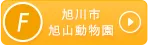F 旭川市旭山動物園