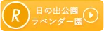 R 日の出公園ラベンダー園