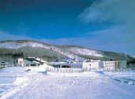 サホロリゾート