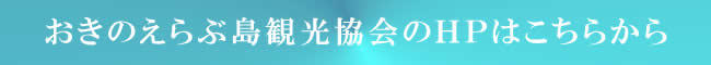 おきえらぶ島観光協会HP