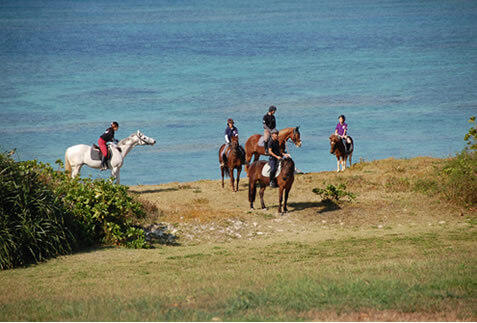 ホテル日航アリビラ特集