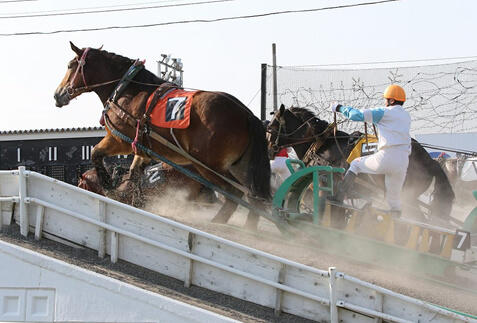 帯広ツアー・旅行特集