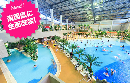 別府温泉ツアー　アクアビート