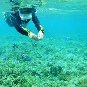 備瀬マリンレジャー