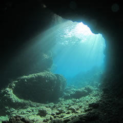 沖縄でも人気のダイビングスポット「青の洞窟」の魅力とは?
