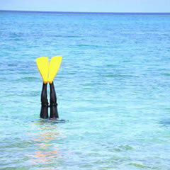 ダイビング初心者でも沖縄の海なら楽しめる！