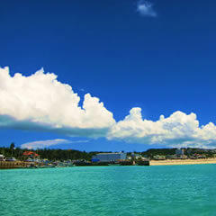 沖縄でダイビングするならどの時期がおすすめ？