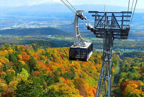 富良野ツアー・旅行特集