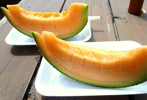 富良野ツアー・旅行特集