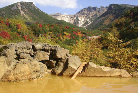 富良野ツアー・旅行特集