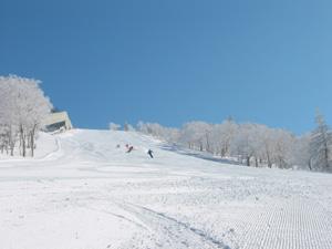 キロロリゾートゲレンデ