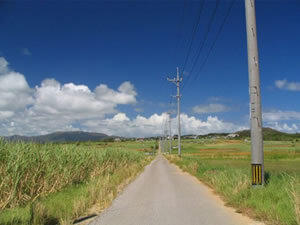 国内旅行に飽きた方にもおすすめ！沖縄離島の魅力とは
