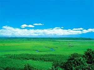 釧路湿原観光へ出かけよう！日本最大の湿原を間近に感じる旅はいかが？