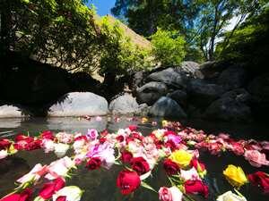 アクティブリゾーツ霧島