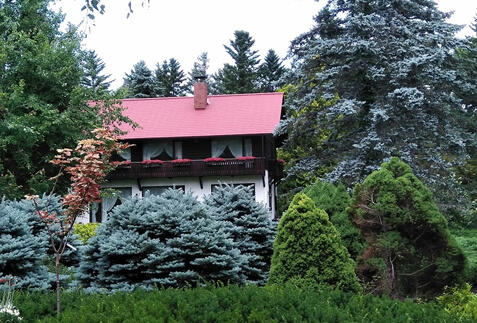 帯広ツアー・旅行特集