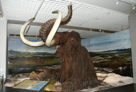 帯広ツアー・旅行特集