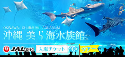 沖縄美ら海水族館旅行