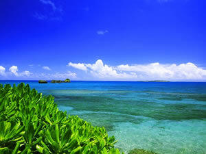 旅行をもっと楽しむために！沖縄の気温と服装について