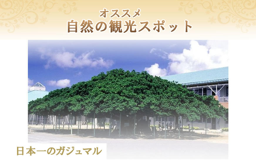 沖永良部島のおすすめ観光スポット
