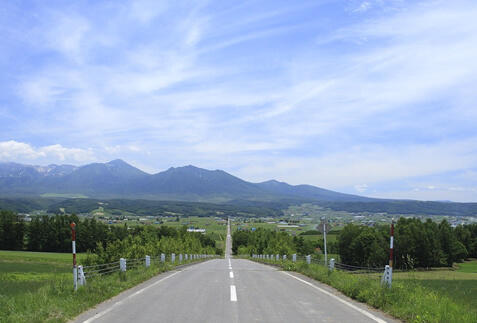 富良野ツアー・旅行特集