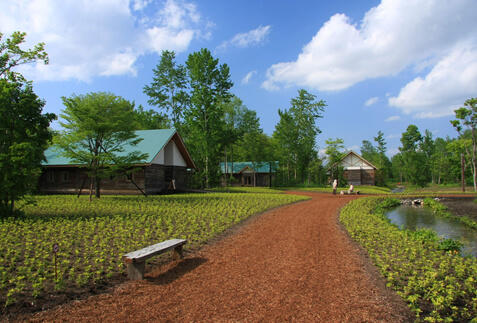 帯広ツアー・旅行特集