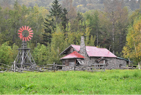 富良野ツアー・旅行特集