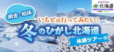 ひがし北海道冬の流氷ツアー