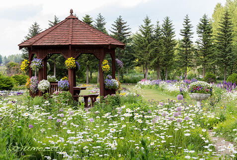 帯広ツアー・旅行特集