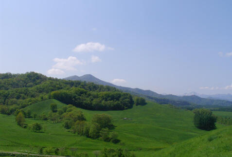 帯広ツアー・旅行特集