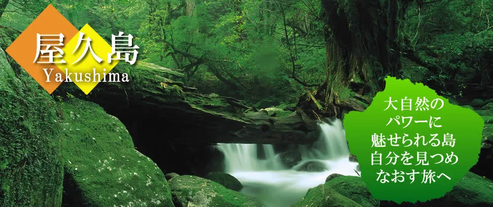 屋久島旅行・ツアー特集｜JAL/高速船・フェリーで行く格安屋久島旅行