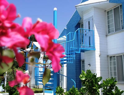 与論島百合ヶ浜クルーズツアー