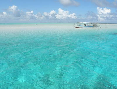 与論島百合ヶ浜クルーズツアー