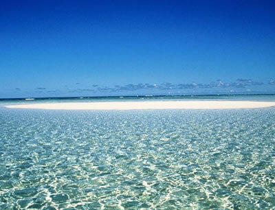 与論島百合ヶ浜クルーズツアー