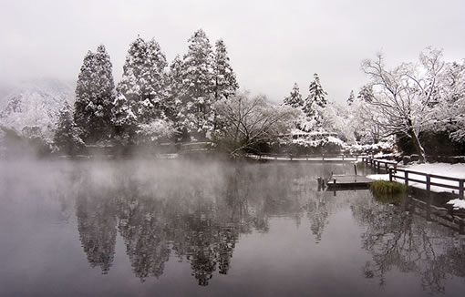 湯布院温泉ツアー金鱗湖　冬景観