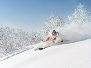 ＜2023-2024＞北海道スキー＆スノーボードツアー販売開始