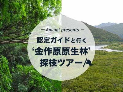 認定ガイドと行く！金作原原生林散策付ツアー♪