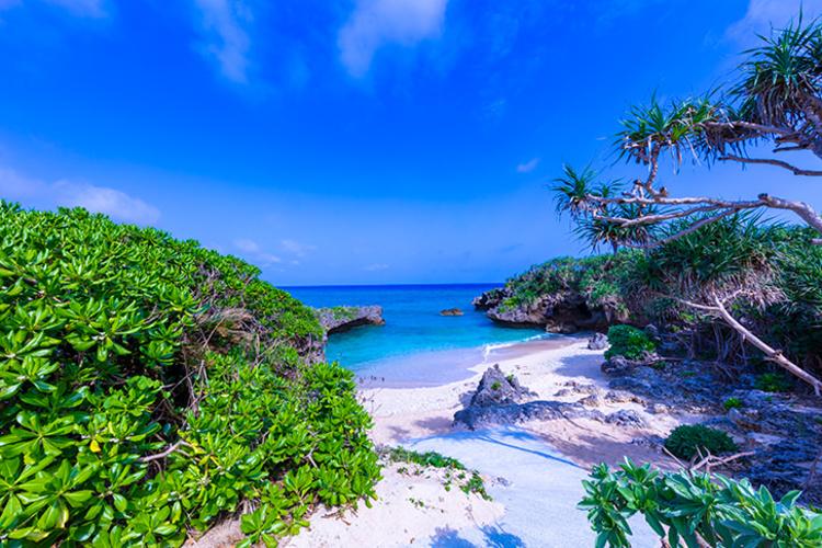 お値打ち価格でリゾート滞在！