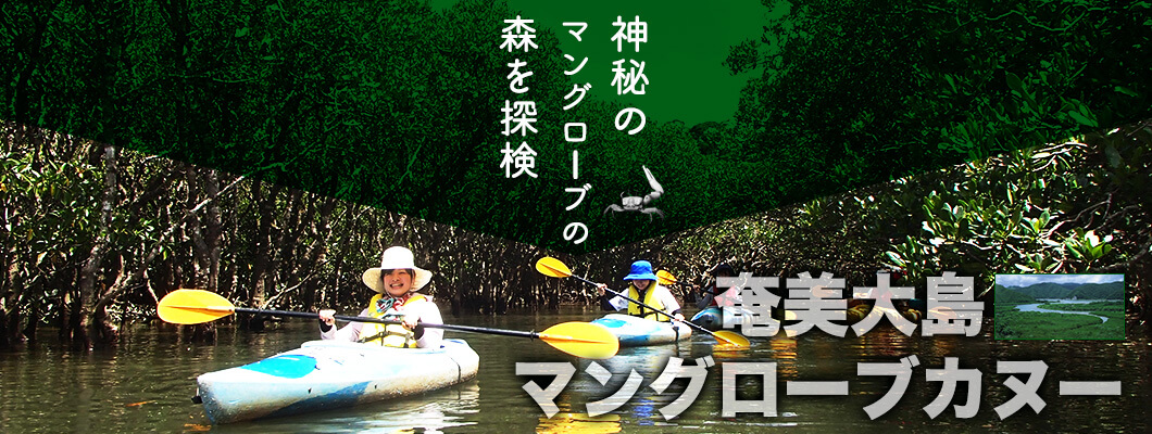 奄美大島マングローブツアー